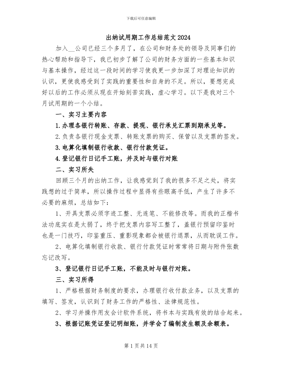 出纳试用期工作总结范文2024_第1页