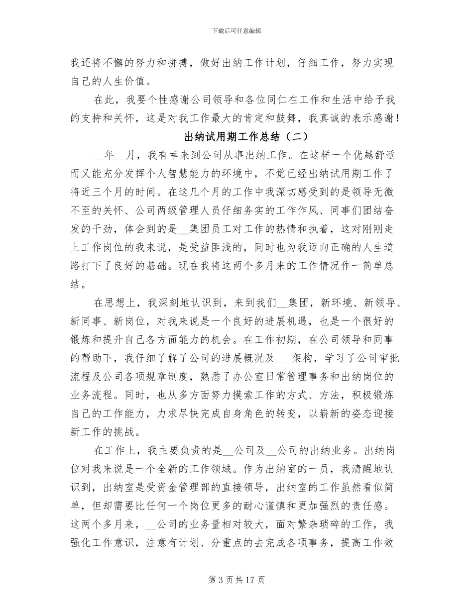 出纳试用期工作总结2024_第3页