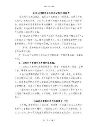 出纳试用期转正工作总结范文2024年