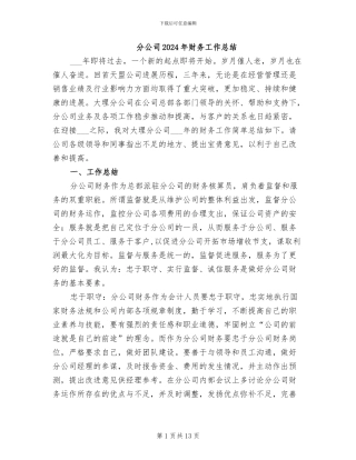 分公司2024年财务工作总结