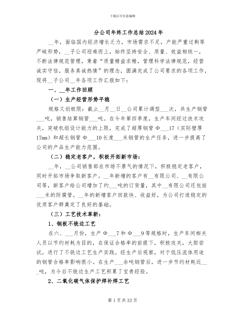 分公司年终工作总结2024年_第1页