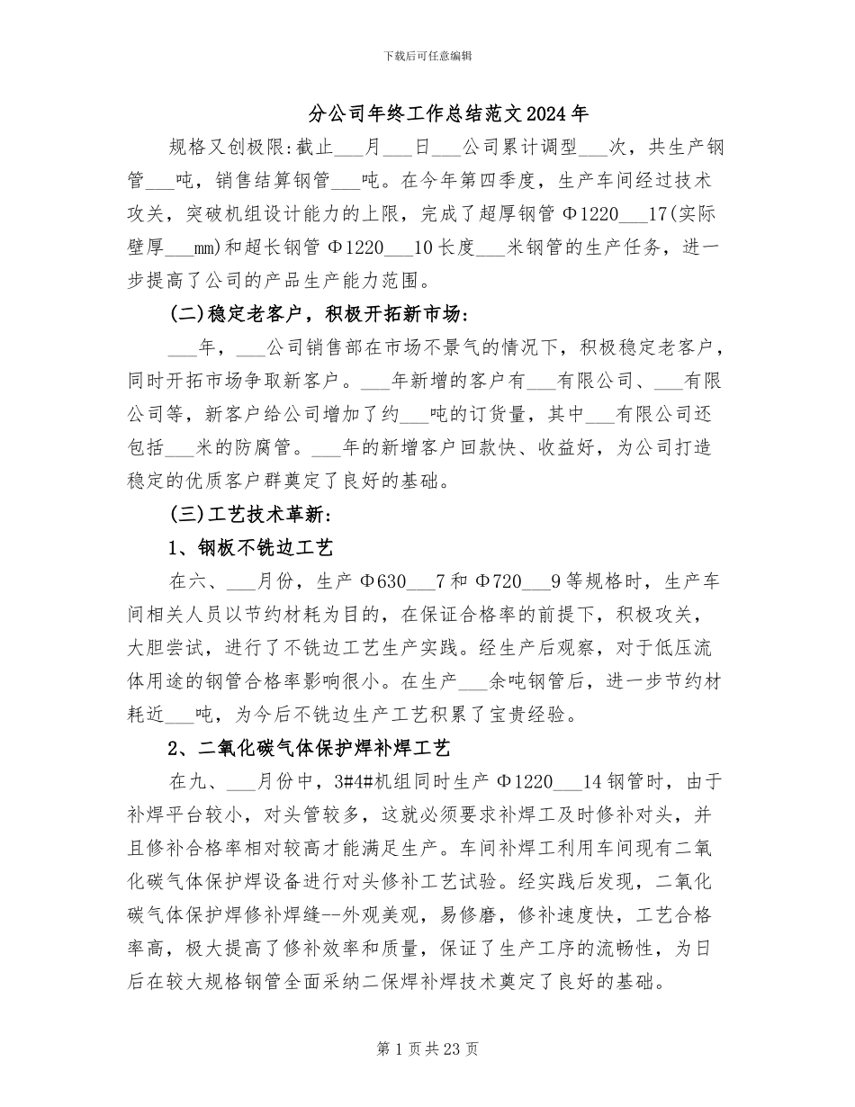 分公司年终工作总结范文2024年_第1页