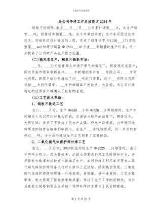 分公司年终工作总结范文2024年