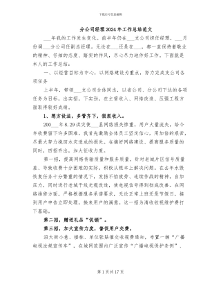 分公司经理2024年工作总结范文