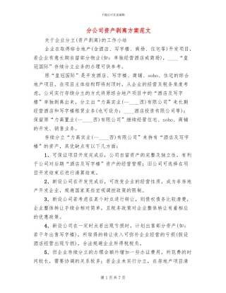 分公司资产剥离方案范文