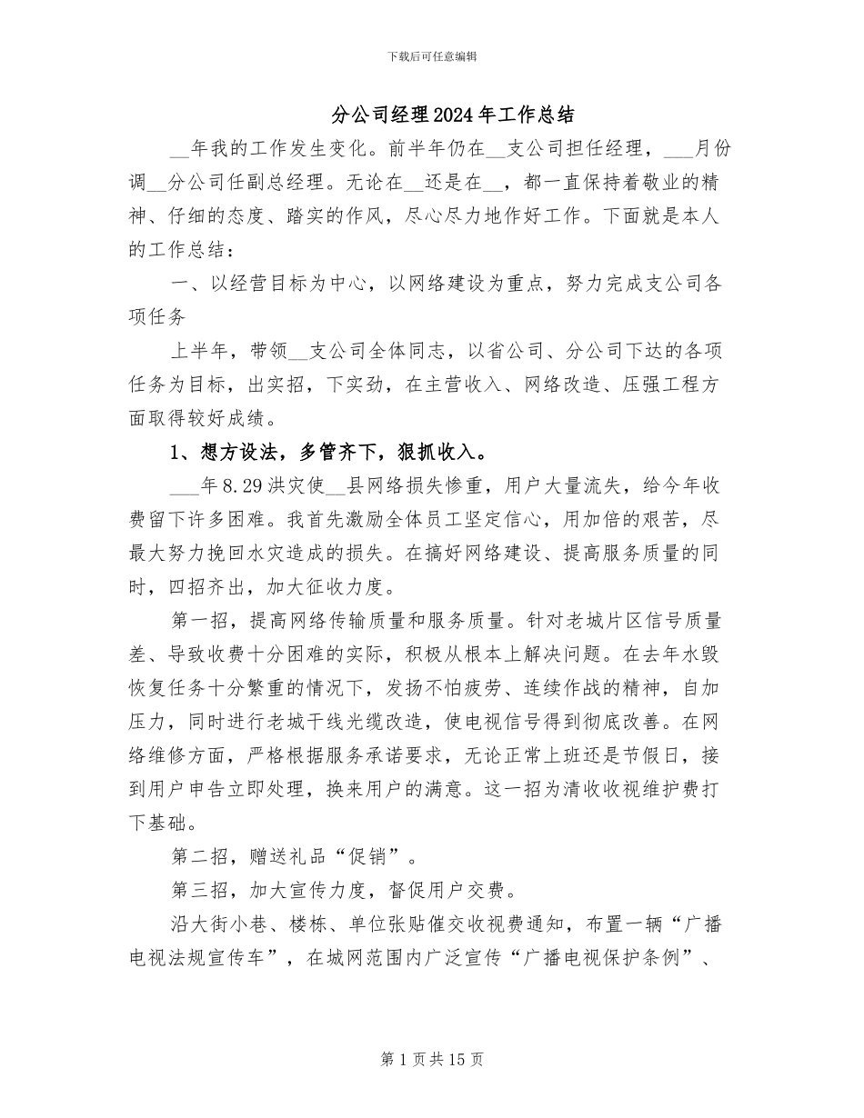 分公司经理2024年工作总结_第1页