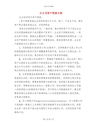 分公司资产剥离方案