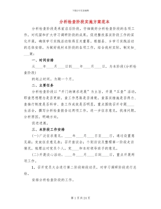 分析检查阶段实施方案范本