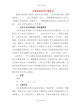 分析检查阶段方案范本(3篇)