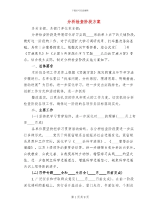 分析检查阶段方案(3篇)