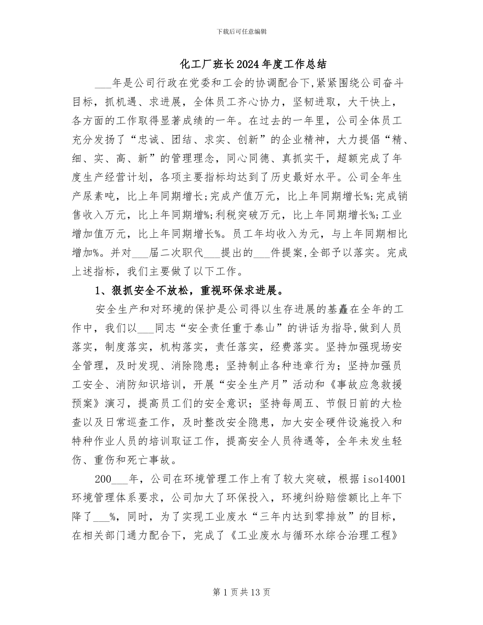 化工厂班长2024年度工作总结_第1页