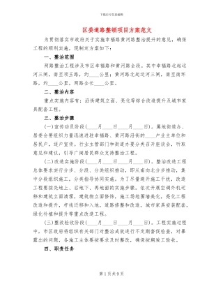 区委道路整顿项目方案范文