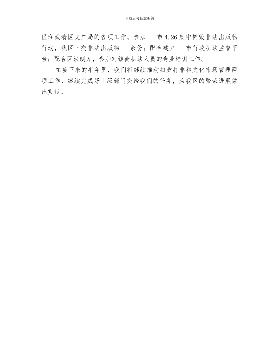 区文化市场行政执法大队2024上半年工作总结_第3页