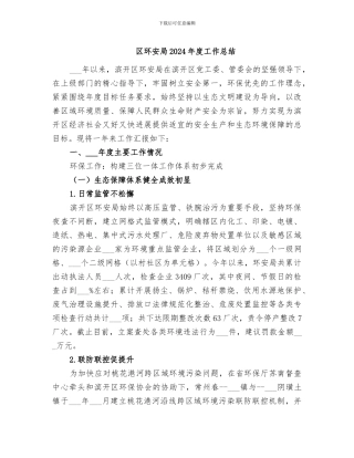 区环安局2024年度工作总结