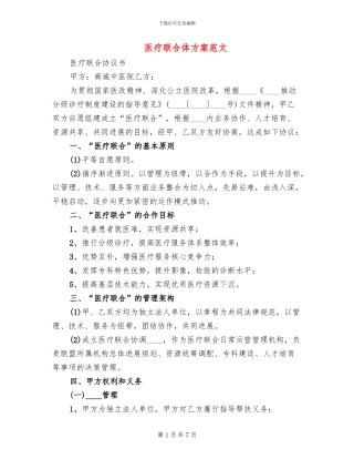 医疗联合体方案范文(2篇)