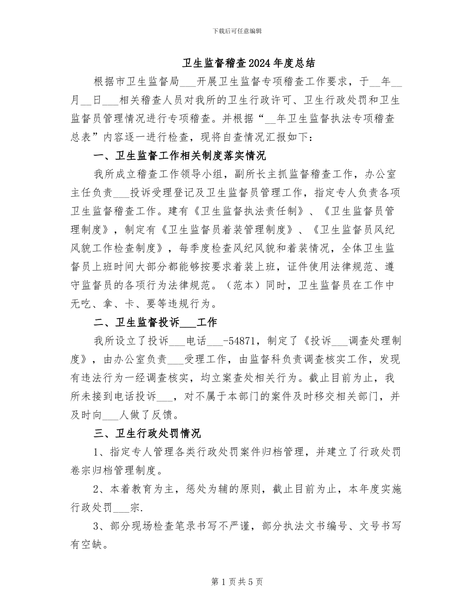 卫生监督稽查2024年度总结_第1页