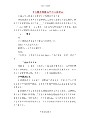 卫生院专项整治工作方案范本