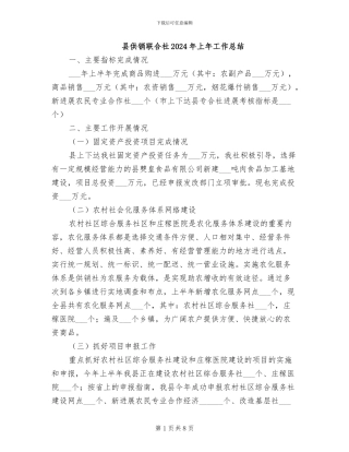 县供销联合社2024年上年工作总结