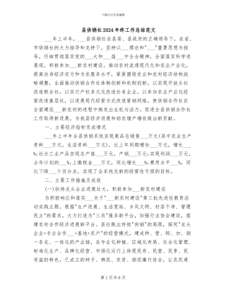 县供销社2024年终工作总结范文