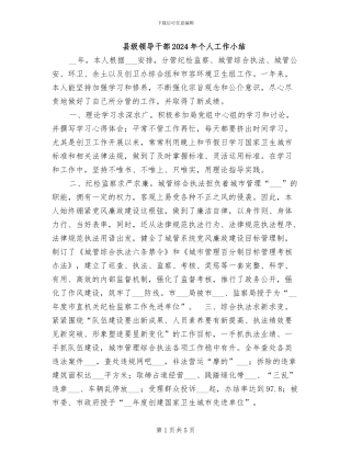 县级领导干部2024年个人工作小结