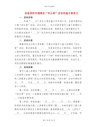 县经委软环境建设“回头看”活动实施方案范文
