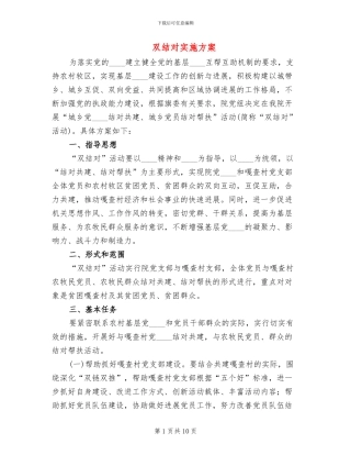 双结对实施方案