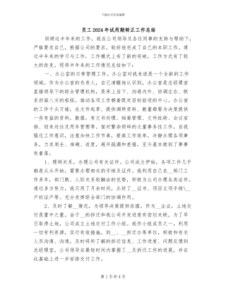 员工2024年试用期转正工作总结