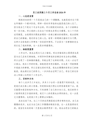 员工试用期三个月工作总结2024年