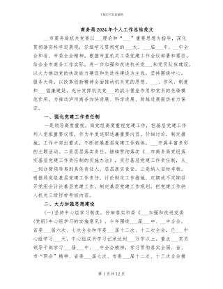 商务局2024年个人工作总结范文