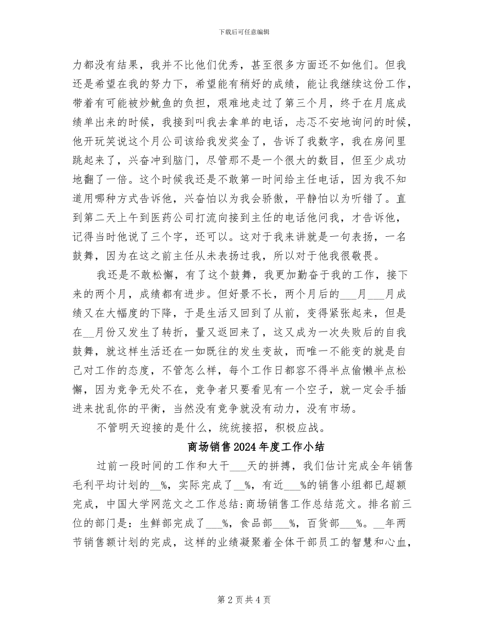 商场销售2024年工作总结_第2页