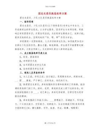 团总支委员换届选举方案