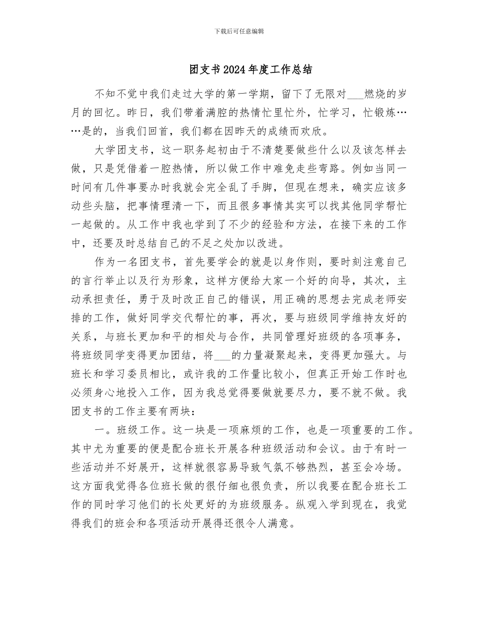 团支书2024年度工作总结_第1页