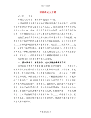 团组织成立方案