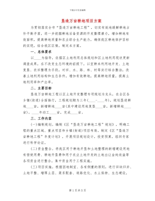 垦造万亩耕地项目方案