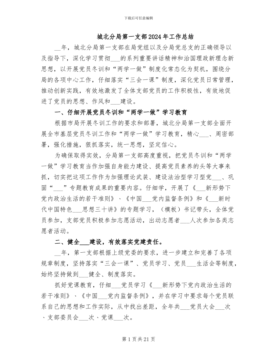 城北分局第一支部2024年工作总结_第1页