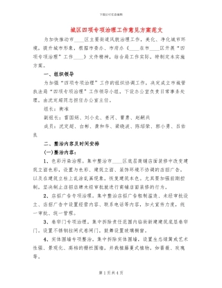 城区四项专项治理工作意见方案范文