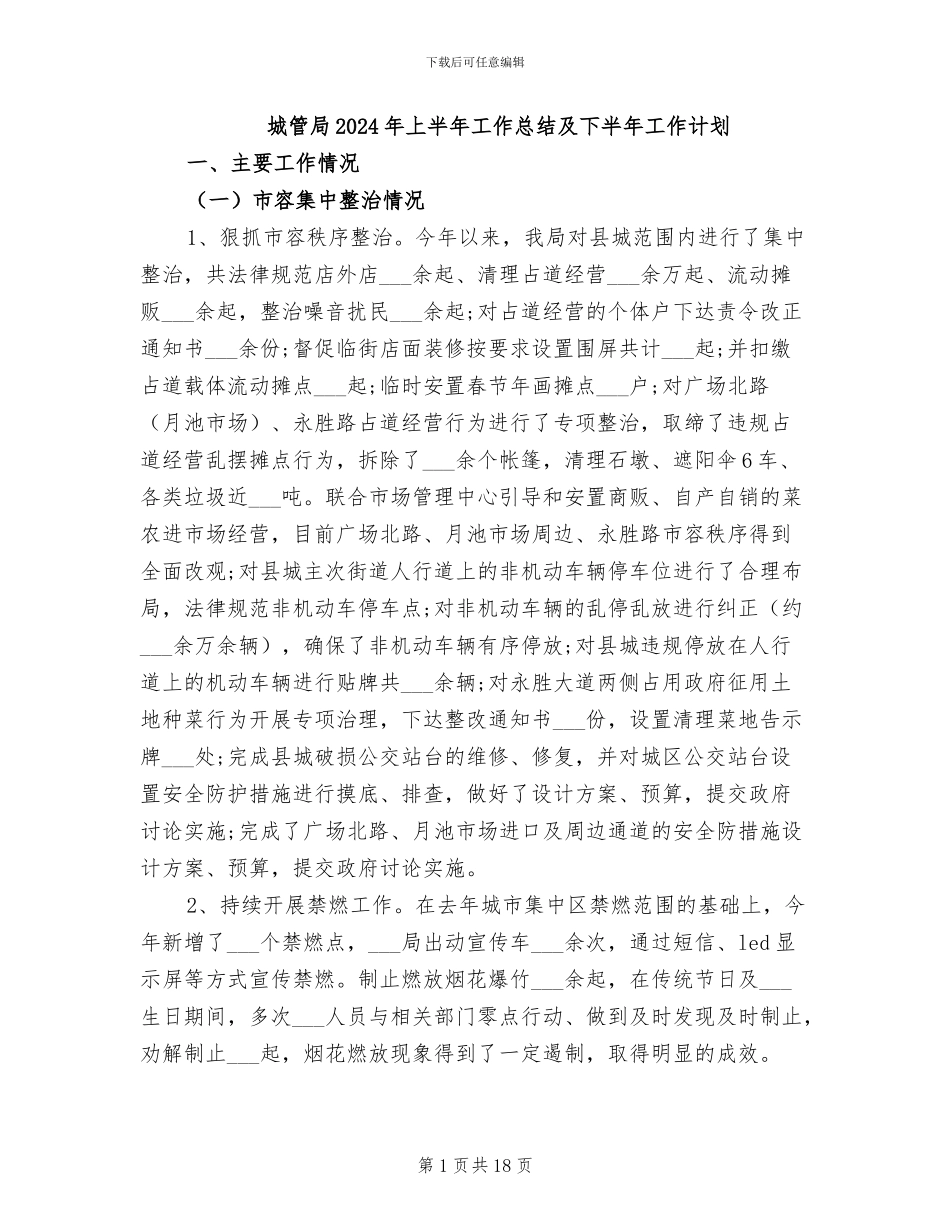 城管局2024年上半年工作总结及下半年工作计划_第1页