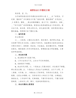 城管执法工作整改方案