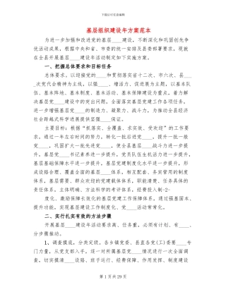 基层组织建设年方案范本