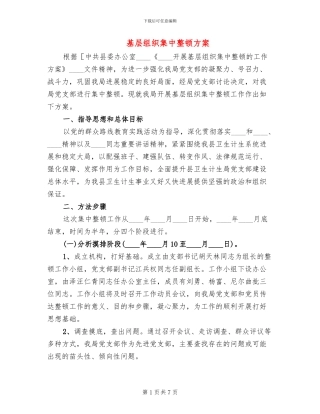 基层组织集中整顿方案