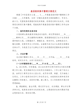 基层组织集中整顿方案范文