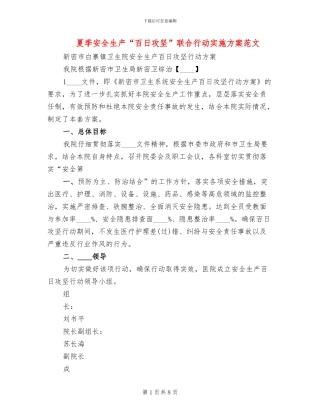 夏季安全生产“百日攻坚”联合行动实施方案范文