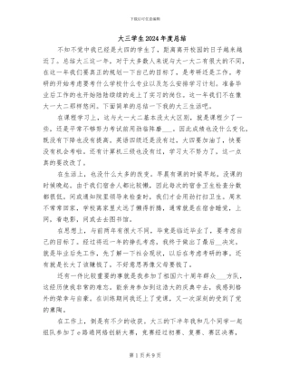 大三学生2024年度总结