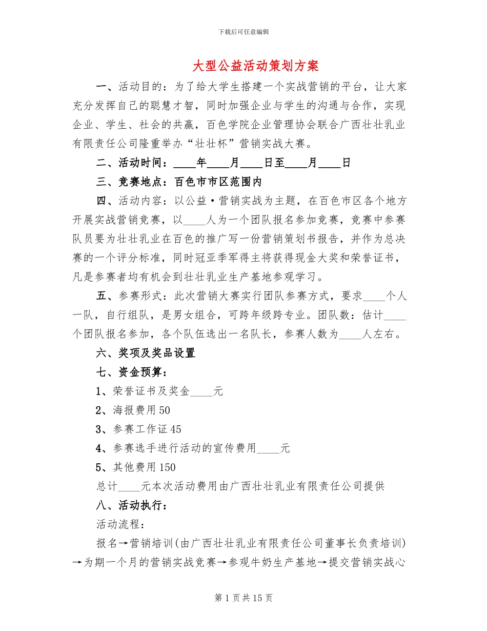 大型公益活动策划方案_第1页