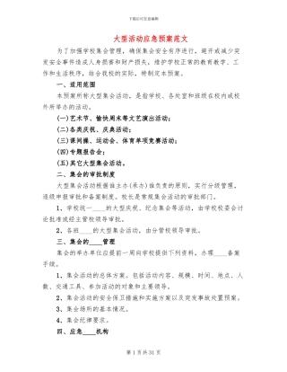 大型活动应急预案范文