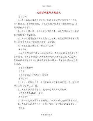 大型活动策划方案范文