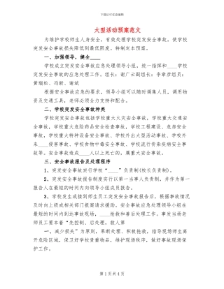 大型活动预案范文
