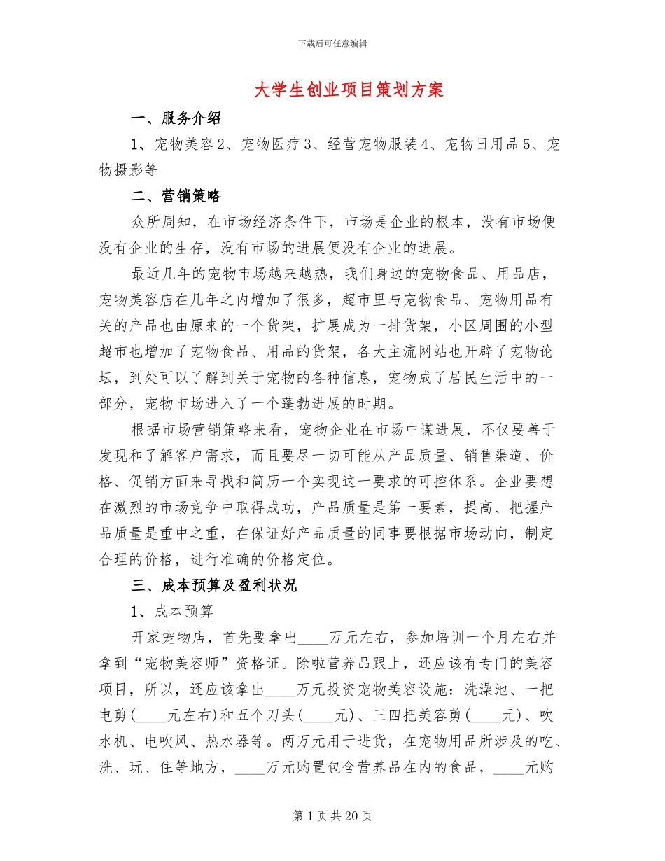 大学生创业项目策划方案_第1页