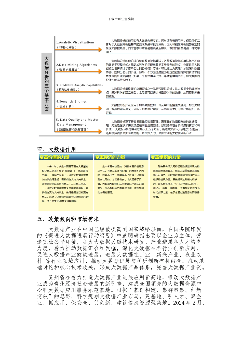大数据公司可行性报告_第2页