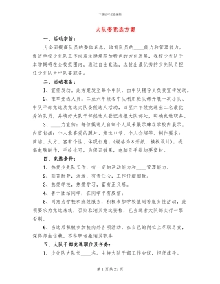 大队委竞选方案